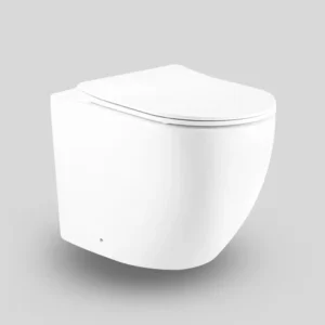 Wall hang Toilet 3206