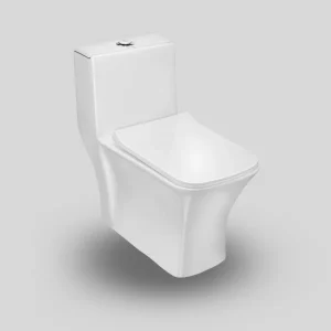 one piece toilet 2071