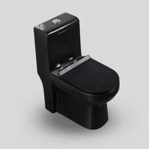 one piece toilet MB98111