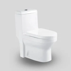 one piece toilet 98116