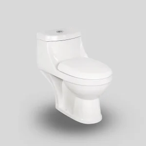 one piece toilet 9883